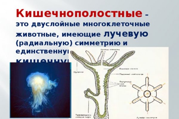 Kraken официальный сайт ссылка