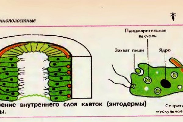 Кракен площадка vk2 top